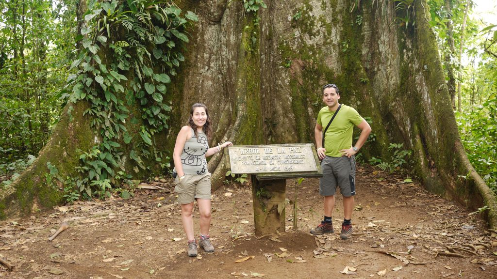 Viajar a Costa Rica por libre: consejos y cómo organizar el viaje