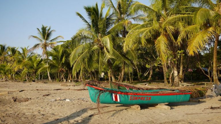 Qué hacer en Puerto Viejo