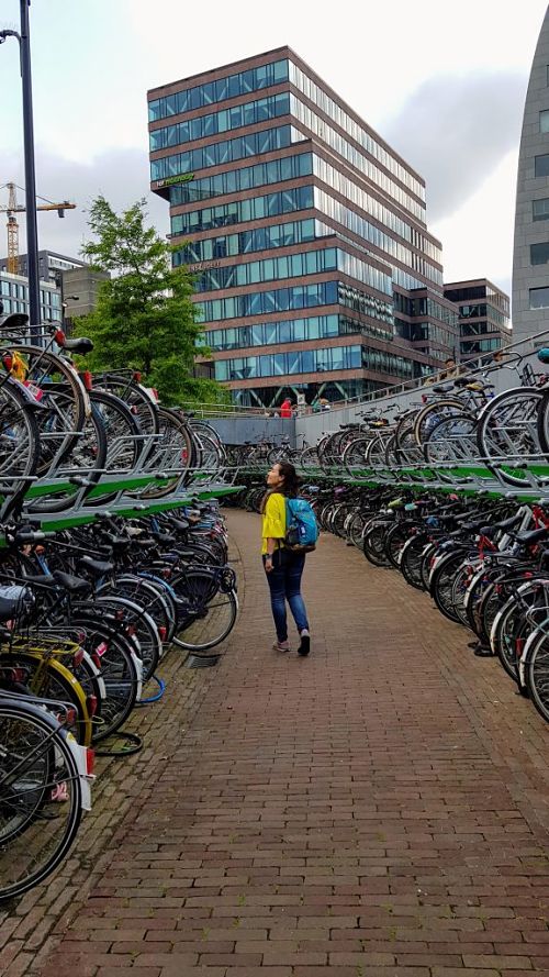 Consejos para viajar a Rotterdam por libre