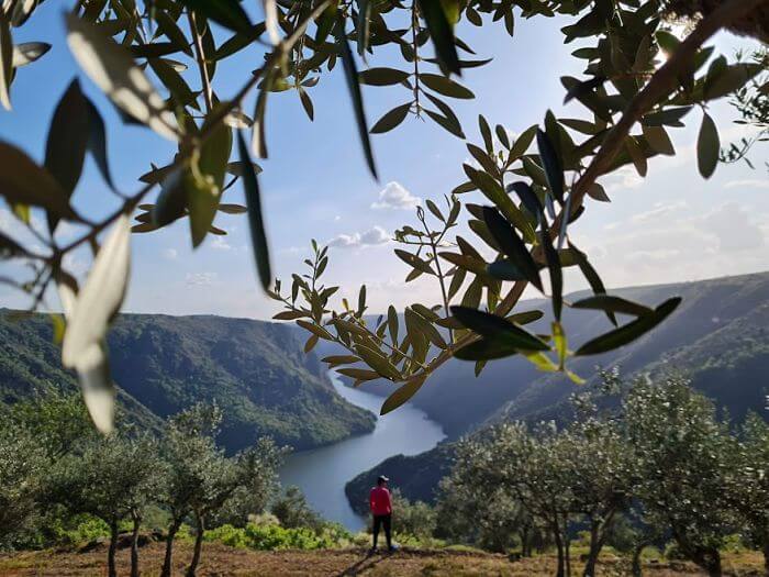 Ruta en coche por los mejores MIRADORES de las Arribes del Duero en Salamanca