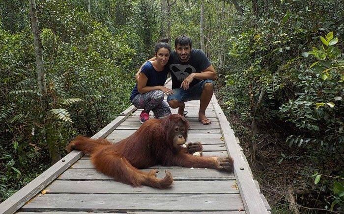 Tour por Borneo en klotok para ver orangutanes