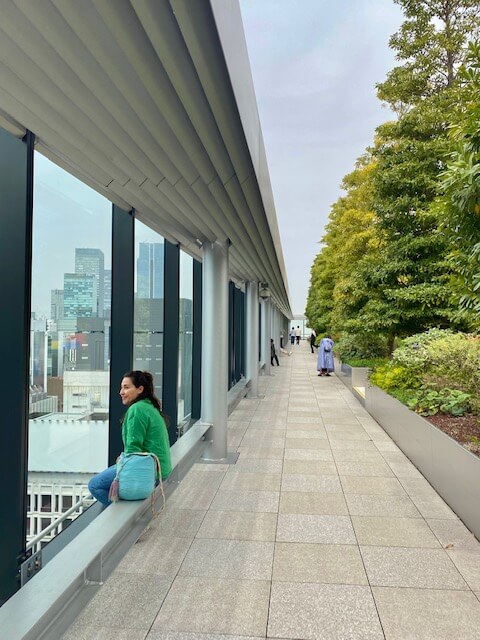 Qué ver en Ginza (Tokio)