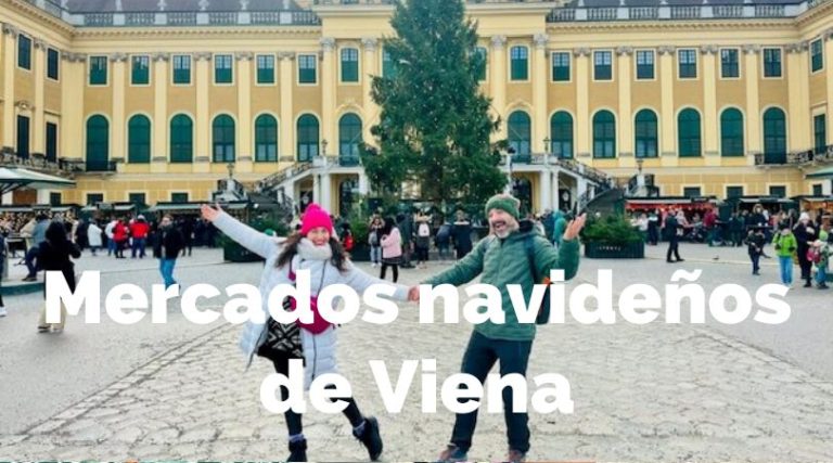 mercados navideños de viena