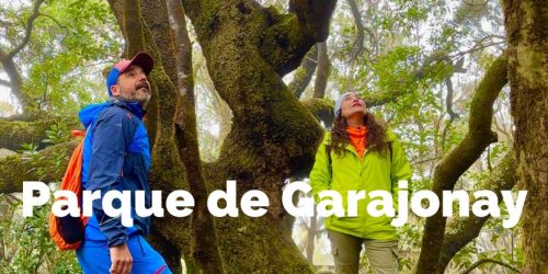 qué hacer en garajonay, la gomera