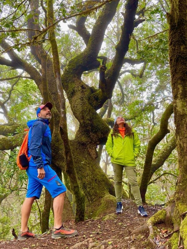 qué hacer en garajonay, la gomera