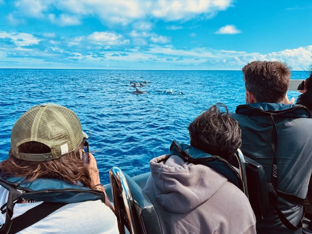 Consejos para viajar a Madeira y cómo organizar el viaje por libre