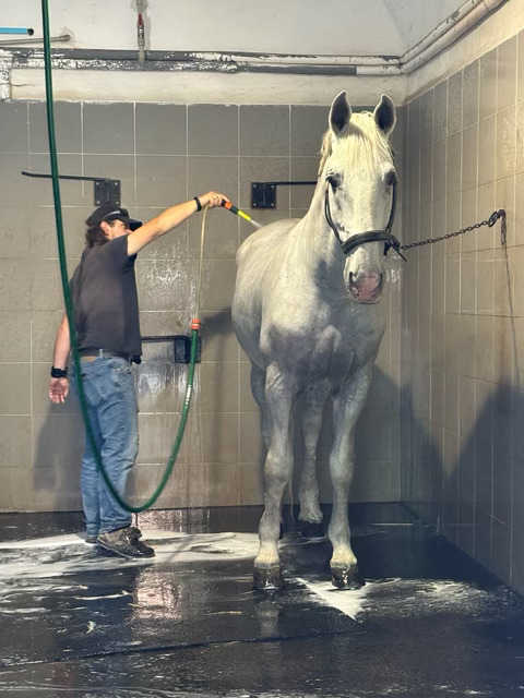 Qué ver en Praga y alrededores en 7 días. Lo mejor de la capital de Chequia en una semana