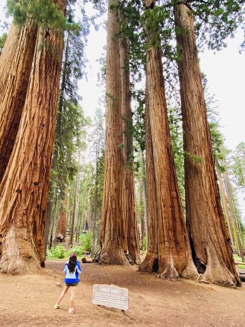 Ruta por la Costa Oeste de EEUU