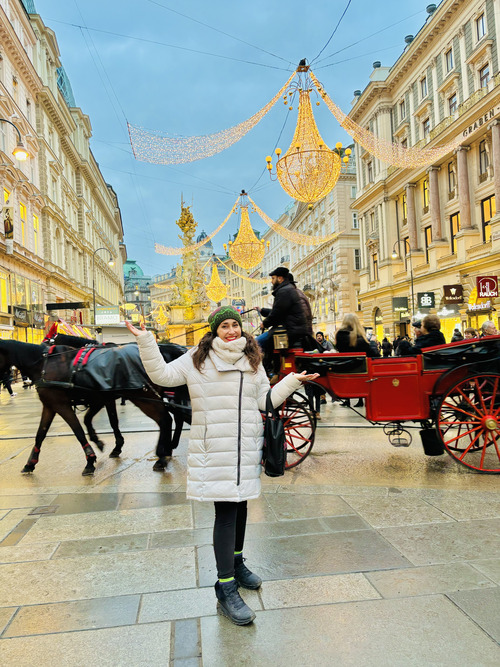 Consejos para viajar a Viena y cómo organizar el viaje por libre