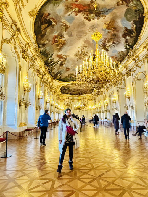 Cómo organizar viaje a Viena