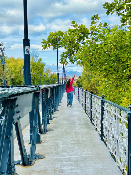 Logroño en un día - Puente de Hierro