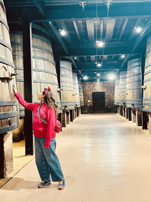 Logroño en 2 días, qué ver y hacer un fin de semana