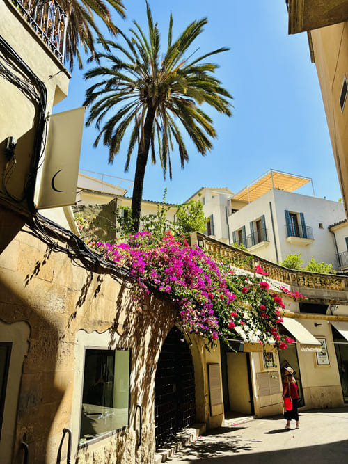 Qué ver en Palma de Mallorca en 2 días - patios mallorquines