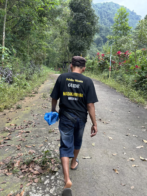 cascada de Madakaripura - guía local