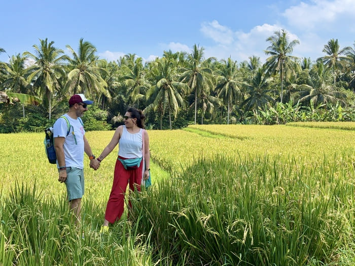 Qué ver en Ubud en 1 día - arrozales