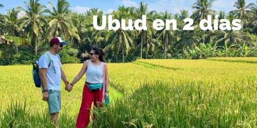 Qué ver en Ubud en 2 días