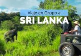 Viaje organizado en grupo a Sri Lanka