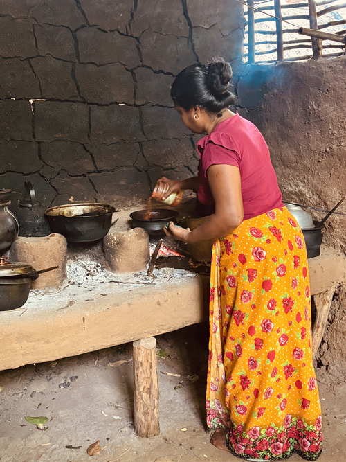 Ruta por Sri Lanka en 12 días - Hiriwaduna