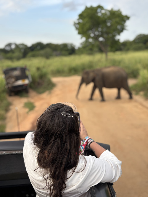 Ruta por Sri Lanka en 10 días - Minneriya