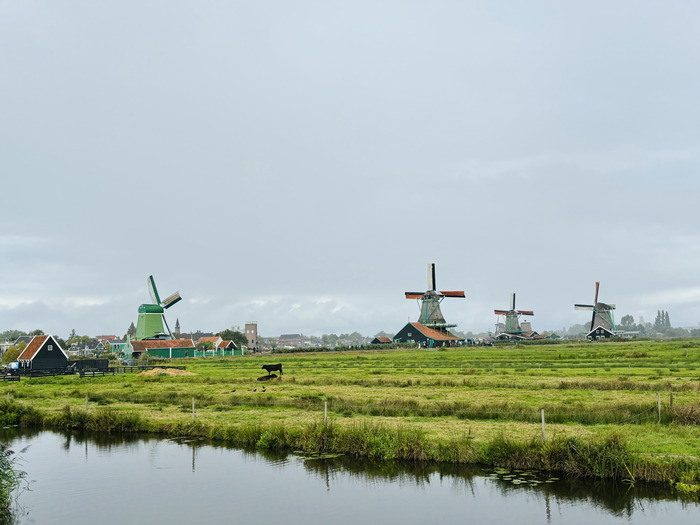 Ruta por Países Bajos - molinos de Zaanse Schans