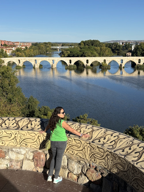 Qué ver en Zamora - mirador del Troncoso