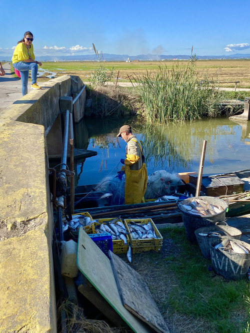 qué ver cerca de Valencia en un día - pescadores de La Albufera