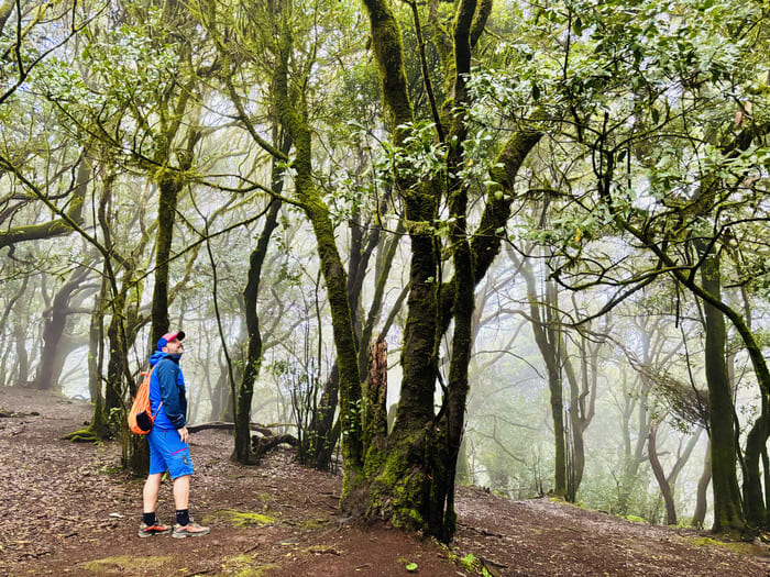 Ruta de 4 días por Tenerife - Parque Rural de Anaga