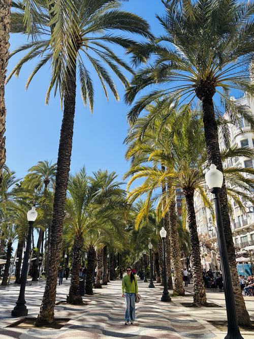 Qué ver en Alicante en un día - Explanada de España