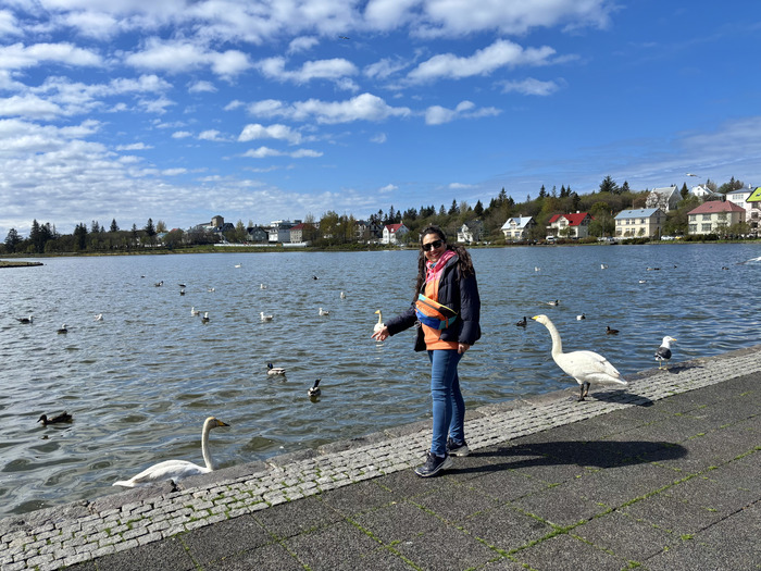 qué ver 1 día en en Reikiavik - lago Tjörnin